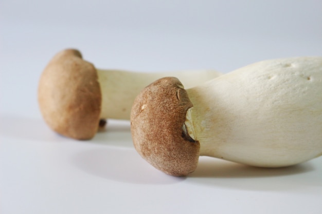 Fresh Champignon Mushroom isolated on white background