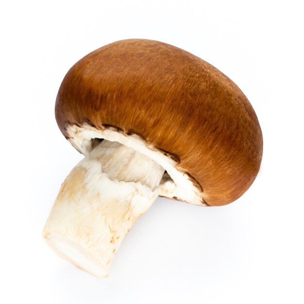 Fresh champignon mushrooms isolated on white.