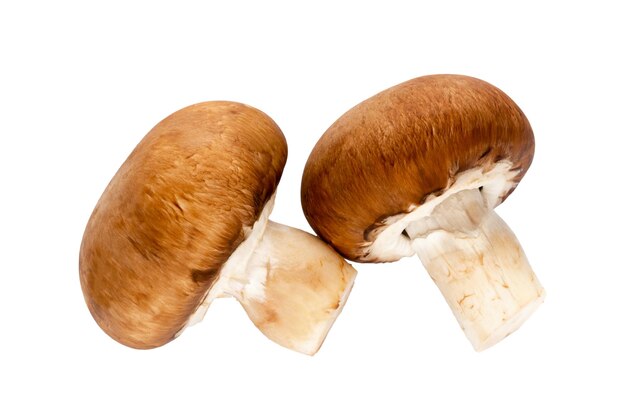 Fresh champignon mushrooms isolated on white