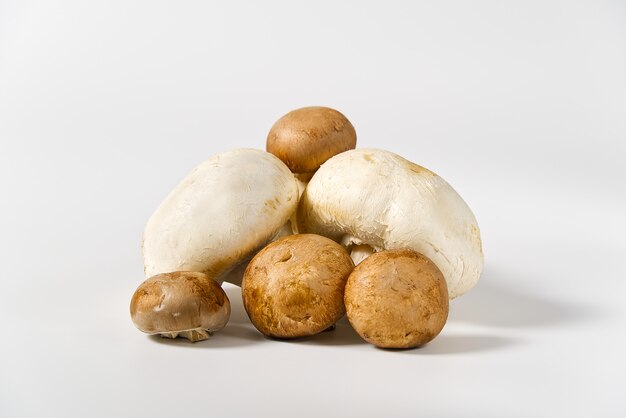 Fresh champignon mushrooms macro shoot. Close-up white and brown sliced champignon.