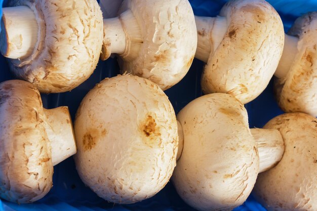 Fresh champignons in plastic packaging close up