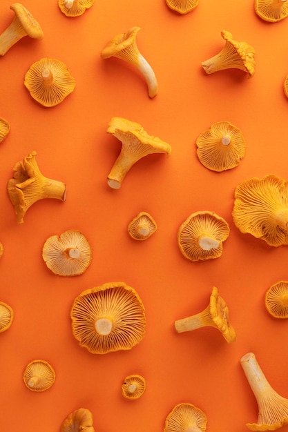 Fresh chanterelle mushrooms seamless pattern top view