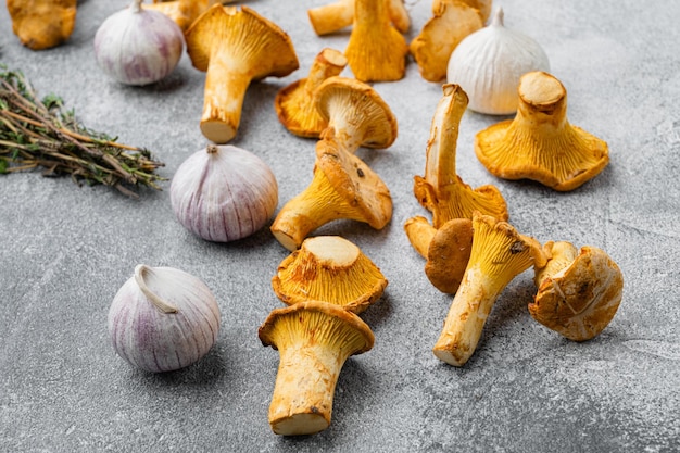 Fresh chanterelle mushrooms set, on gray stone table background