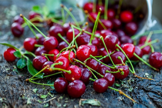 Fresh cherries in bowl