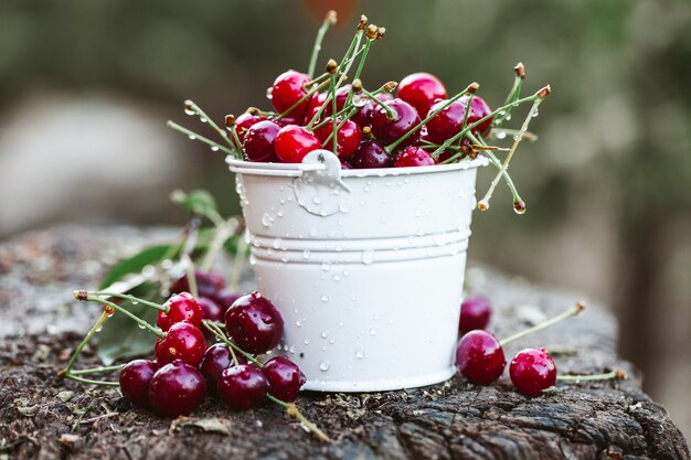 fresh cherries ready to eat