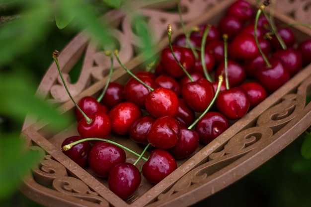 Свежие ягоды вишни с каплями на тарелке в саду среди зеленых листьев. Органическая еда.