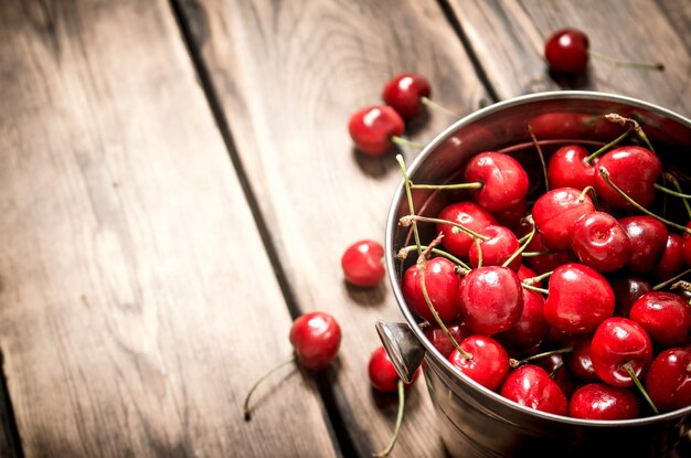 Fresh cherry in the bucket.