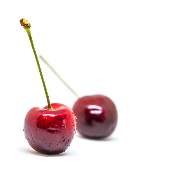 fresh cherry fruit isolated on white