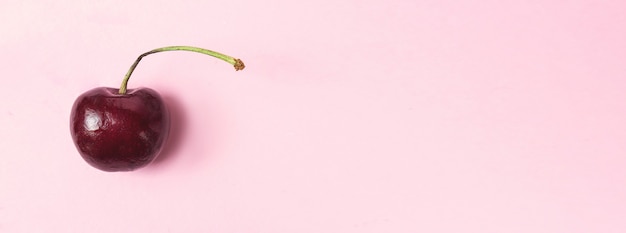 Fresh cherry fruit on pink background. Ripe sweet cherry.