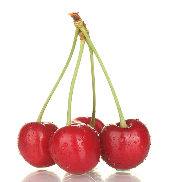 Fresh cherry isolated on white