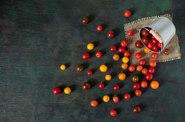 Fresh cherry tomatoes spilled out of a bucket