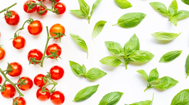 Pomodori ciliegia freschi con le foglie del basilico su bianco.