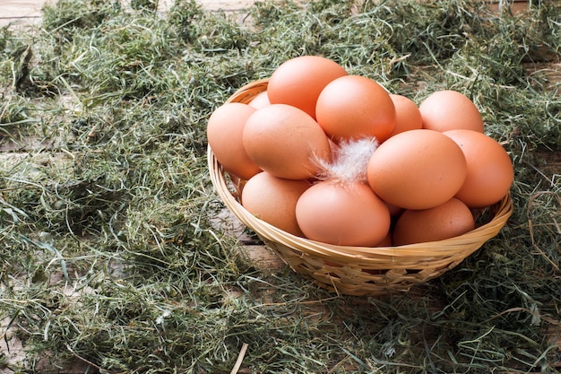 Fresh chicken eggs in a basket on straw on the farm