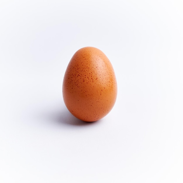 흰색 배경에 고립 된 신선한 닭고기 달걀