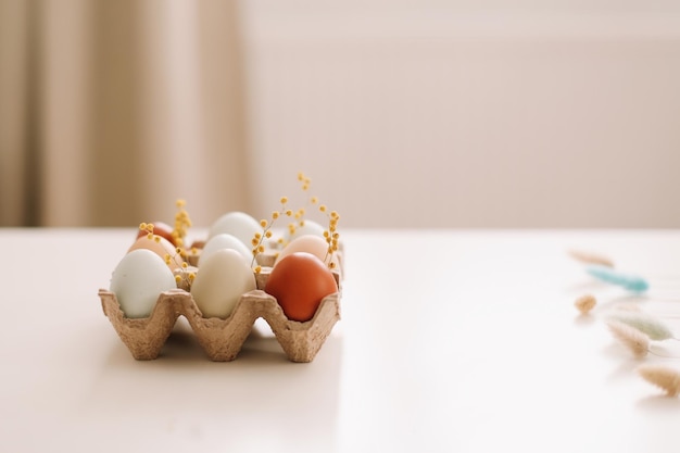 흰색 배경에 자연 색조와 색상의 신선한 닭고기 달걀 행복한 부활절 개념