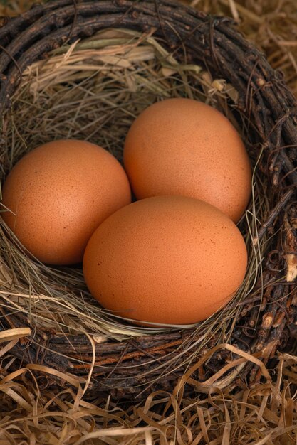 Свежие куриные яйца в гнезде
