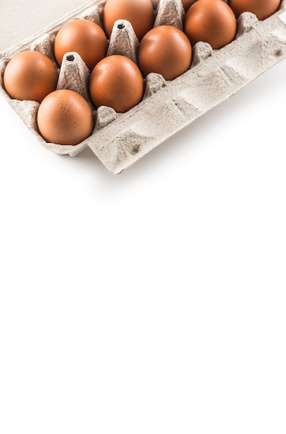 흰색 배경에 분리된 쟁반에 있는 신선한 닭고기 달걀.