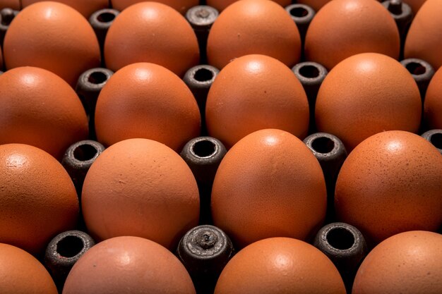 Fresh chicken eggs in tray close up