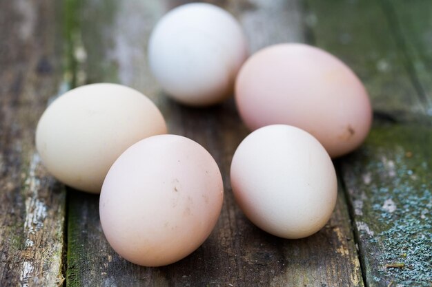 Fresh chicken eggs or unpainted Easter eggs close-up