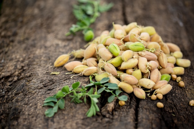 Fresh chickpeas