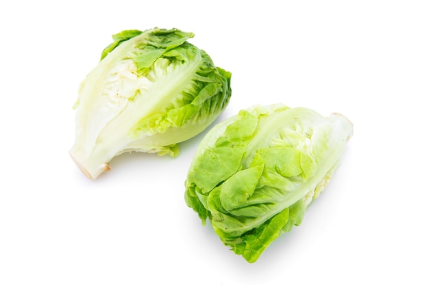 fresh chinese cabbage on a white background