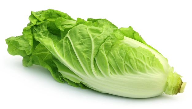 Fresh Chinese Cabbage over white background