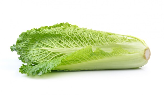 Fresh chinese cabbage on a white space