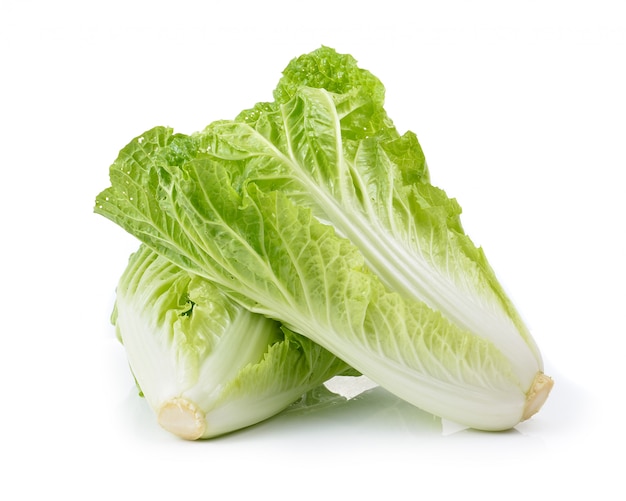 Fresh chinese cabbage on a white space