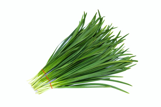 Fresh Chinese Chive leaves on white background