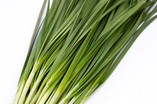 Fresh Chinese Chive leaves on white background