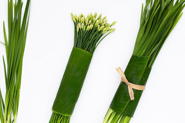 Fresh Chinese Chive leaves on white background