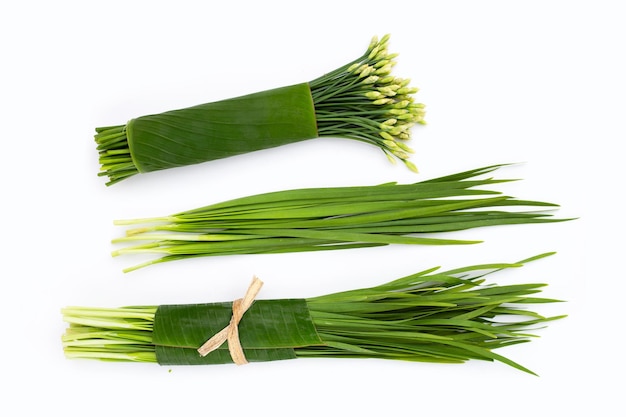 Fresh Chinese Chive leaves with flower on white background