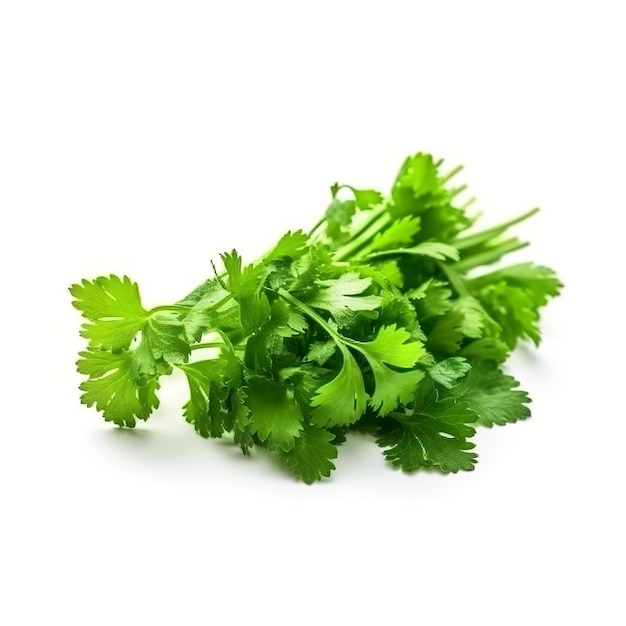 Fresh cilantro coriander isolated on white background generate ai