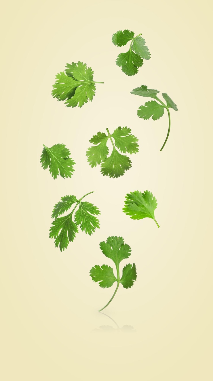 Photo fresh cilantro leaves falling on beige background