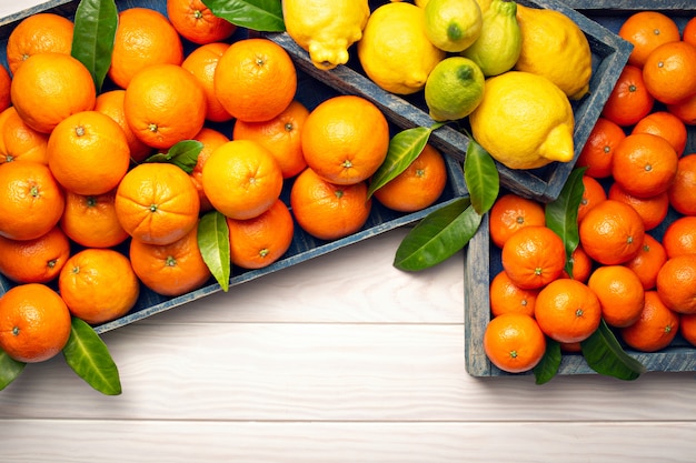 Fresh citrus fruits