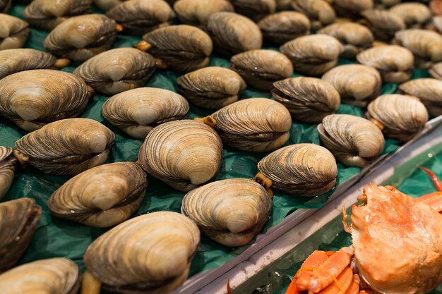 Fresh Clam and snow crab in fish market