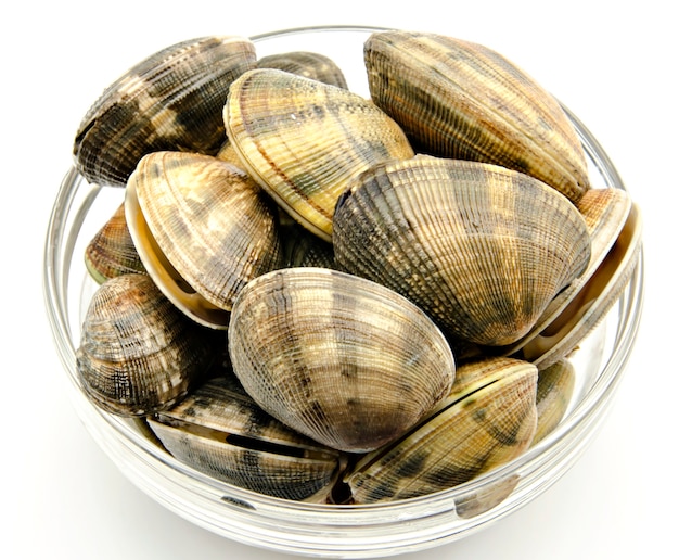 Vongole fresche isolate