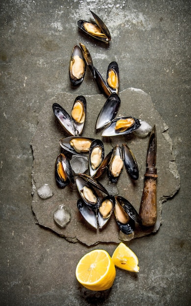 Fresh clams with lemon and ice on a stone stand. On the stone table. Top view