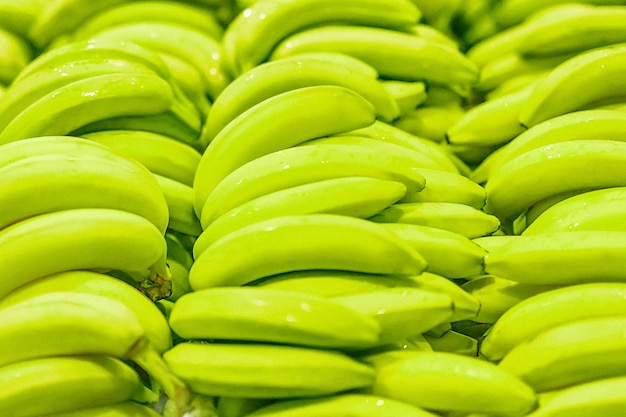 Fresh clear banana yellow green unripe background texture