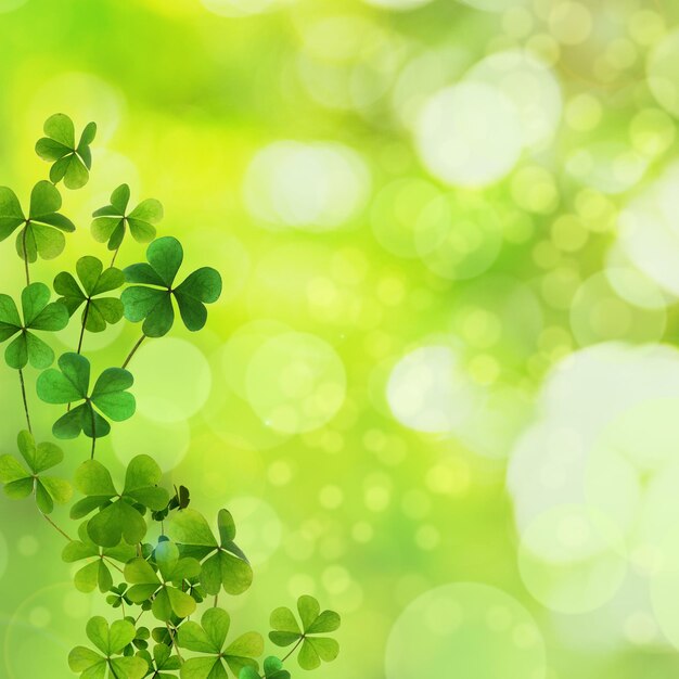 Fresh clover leaves on green background space for text St Patrick39s Day celebration