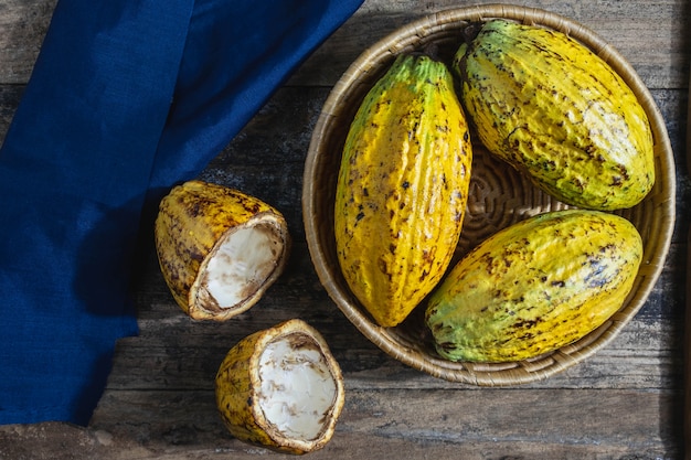 Fresh cocoa fruit in basket