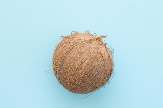 Fresh coconut on a bright blue background