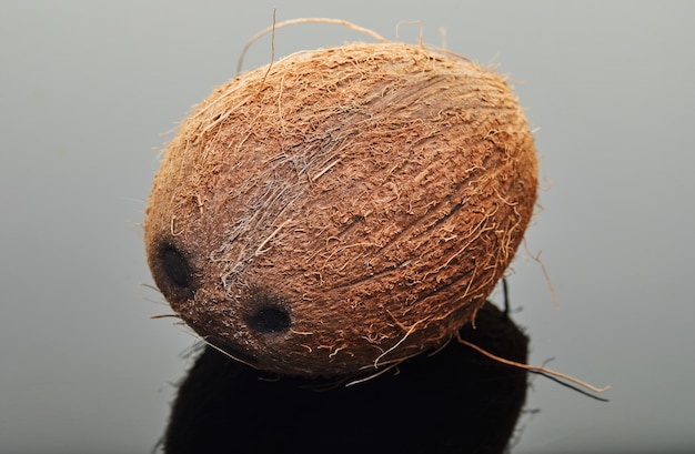 Fresh Coconut on gray with reflection