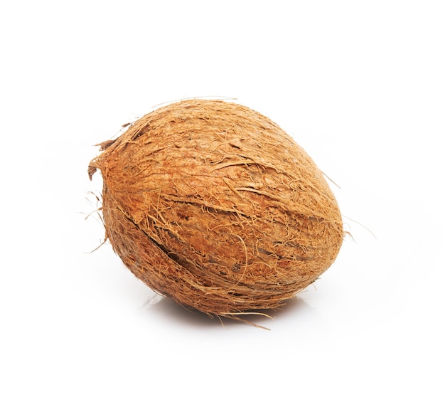 Fresh coconut isolated on a white background, close-up