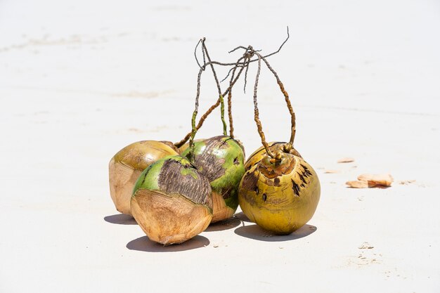 Noci di cocco fresche sulla spiaggia di sabbia, zanzibar, tanzania, primo piano