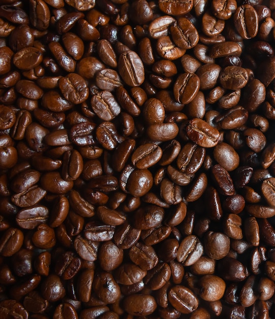 Fresh coffee bean Roasted