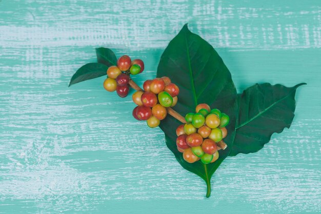 fresh coffee beans  on color wood  background