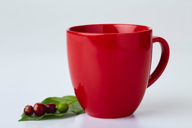 Fresh coffee beans with leaves and an empty red cup on white background