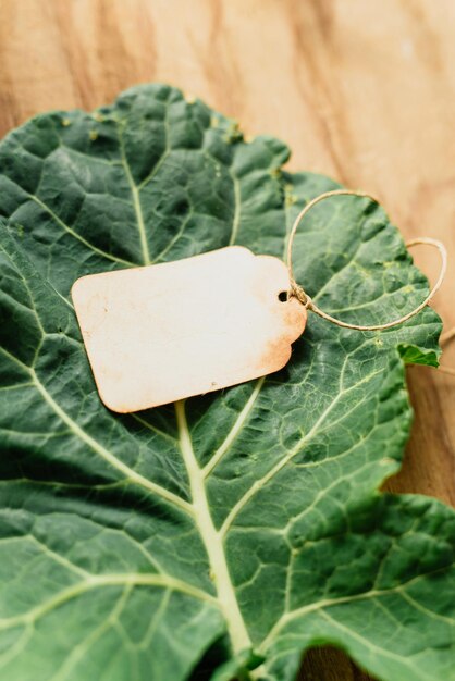 Photo fresh collard and a paper tag