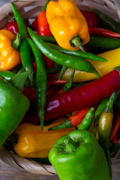 Fresh colored hot peppers on a white background